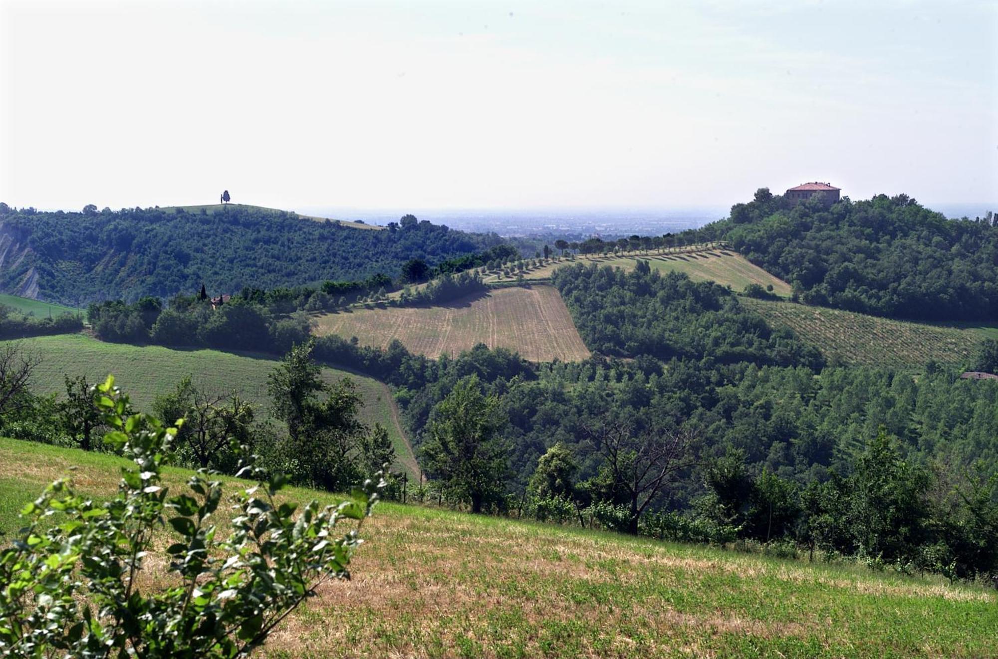 Agriturismo Montevecchio Isolani Monte San Pietro Exterior foto